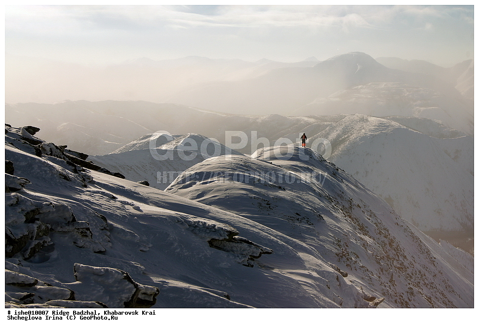 ������, ����������� ����, ����, ������, ����, ������, ������, �������, ������� ����, ����������� ������ ���, ��� �������, ������, �������, ������ ������, ������ ������, �����������. 