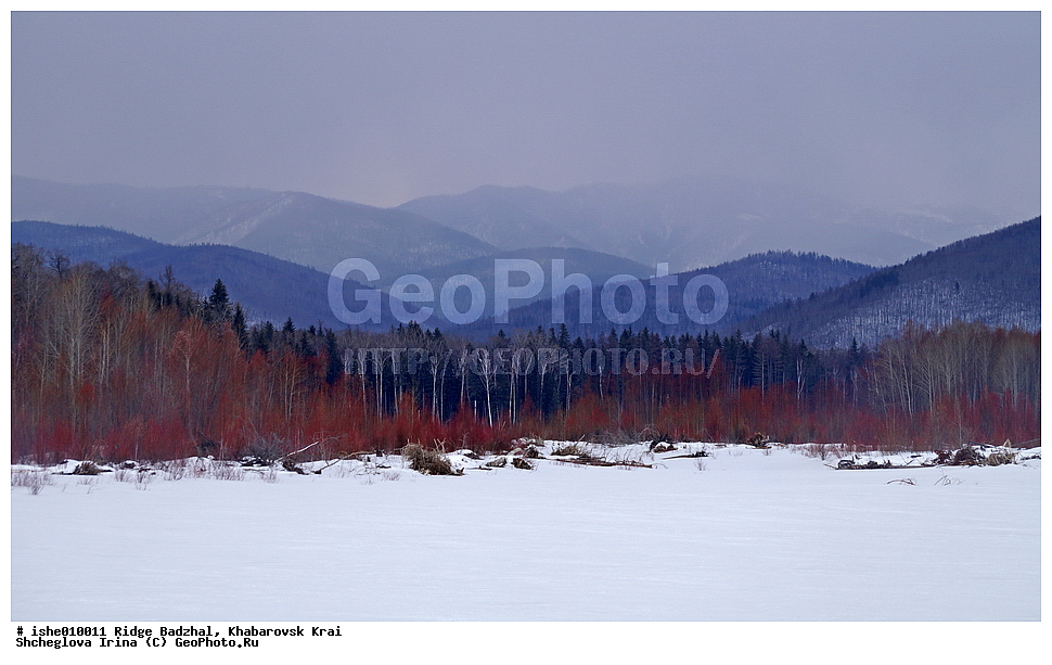  ������, ����������� ����, ����, ������, ����, ������
�������� 