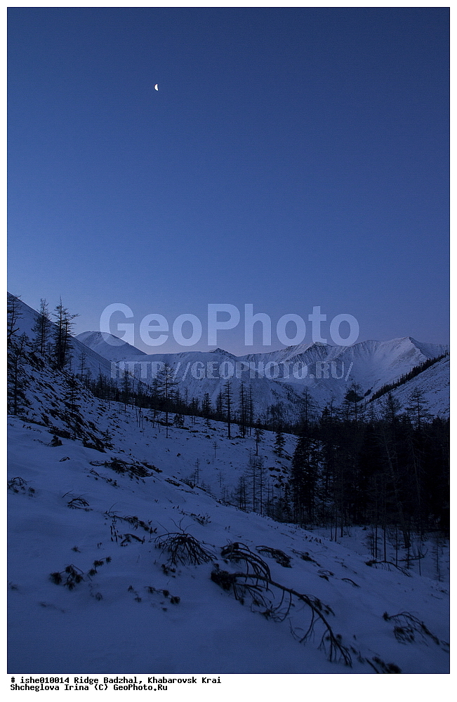  ������, ����������� ����, ����, ������, ����, ������
�������� 