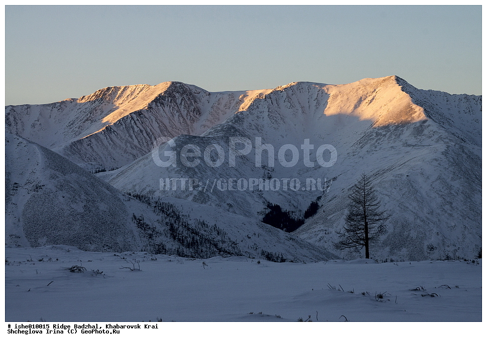  ������, ����������� ����, ����, ������, ����, ������
�������� 