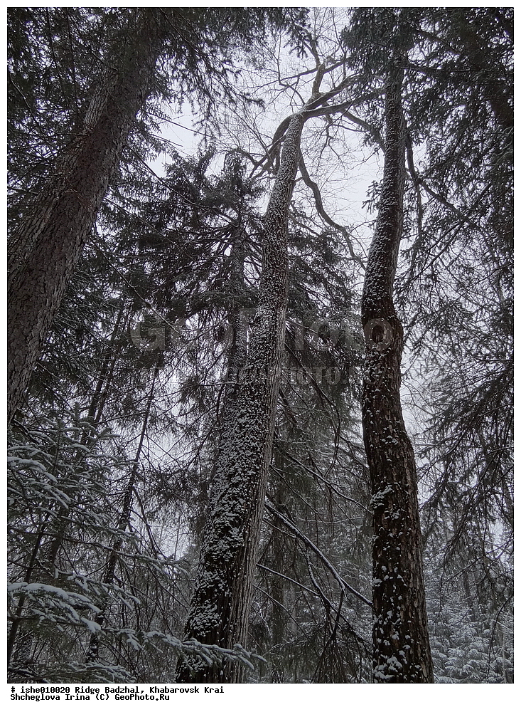 ������, ����������� ����, ����, ������, ����, ������, ������ ��������, ������� �������, ������.
�������� 