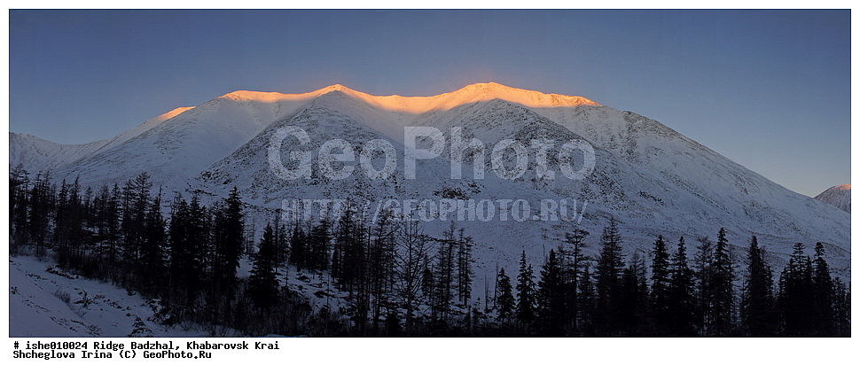 ������, ����������� ����, ����, ������, ����, ������, ������, �������, ������ ������� ����, ����������� ������ ���, ������.
�������� 