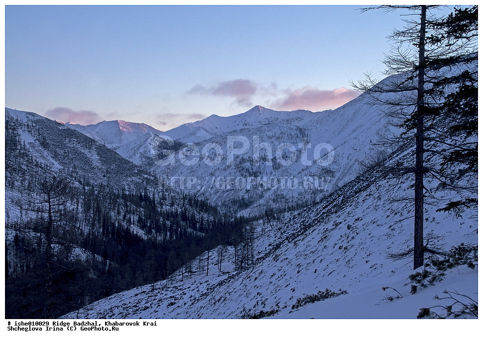 ������, ����������� ����, ����, ������, ����, ������, ������, �������, ������� ����, ����������� ������ ���, �������� �����, ��������, ����� �������, ��������, ������.