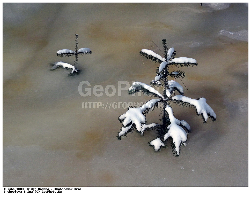 ������, ����������� ����, ����, ������, ����, ������, ������, ������, ���, ������
�������� 