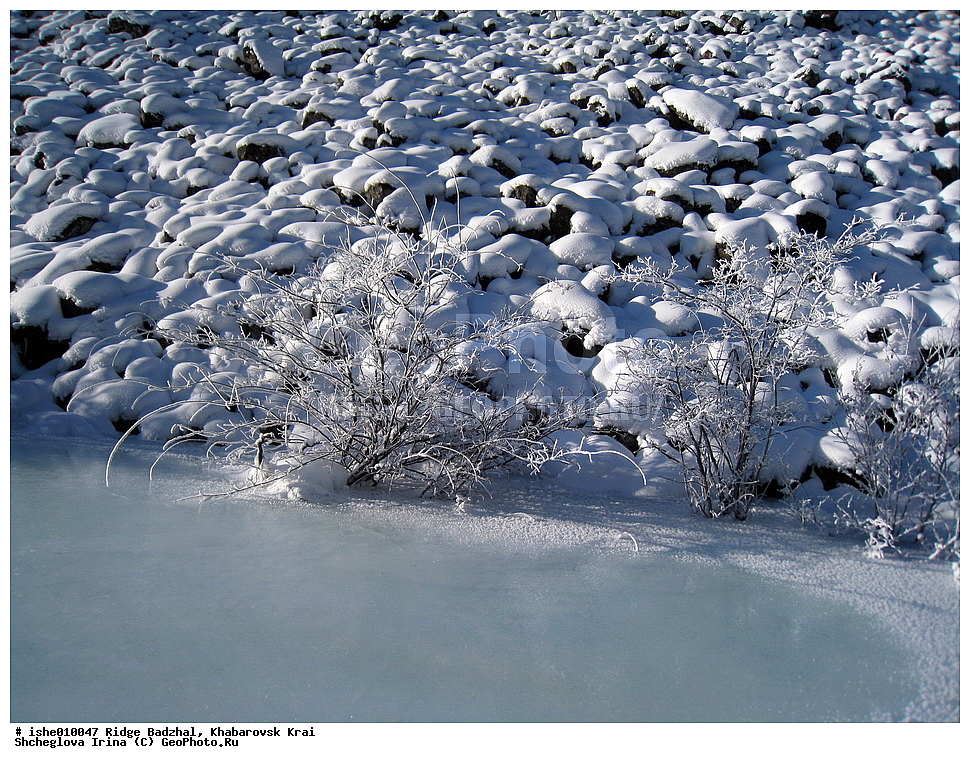 ������, ����������� ����, ����, ������, ����, ������, ������, ���, ������ ���, ������, ����, ��������, �������� �����, ��������.