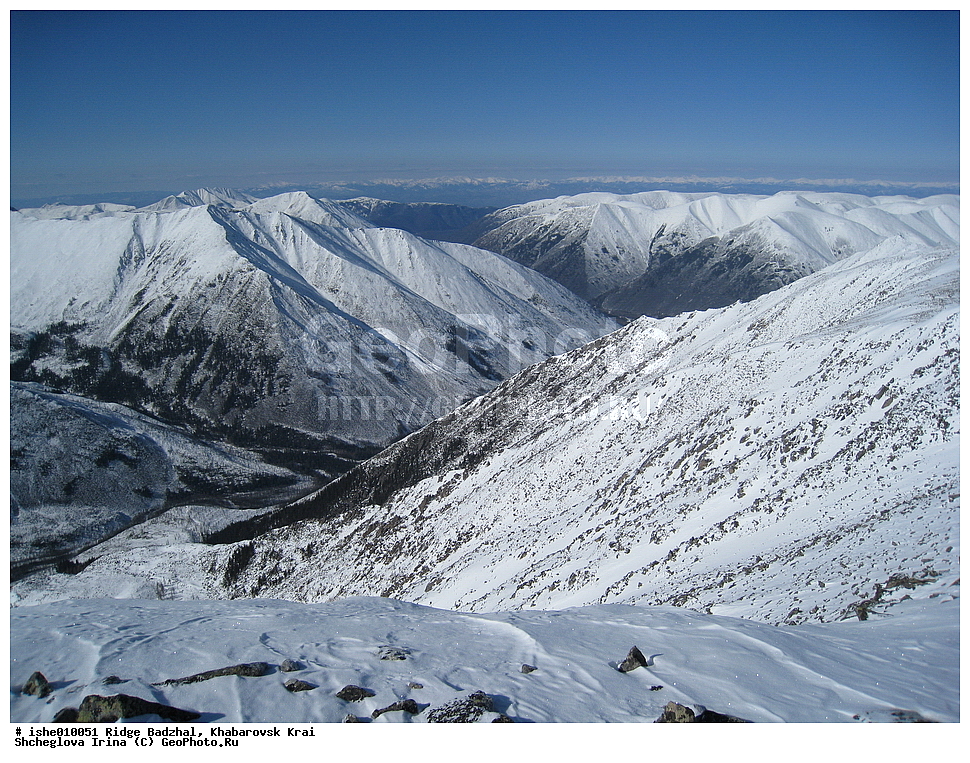 ������, ����������� ����, ����, ������, ����, ������, ������, �������, ������ ������� ����, ����������� ������ ���, ����, �������� ����, ������� ������� ����, ����, �����.