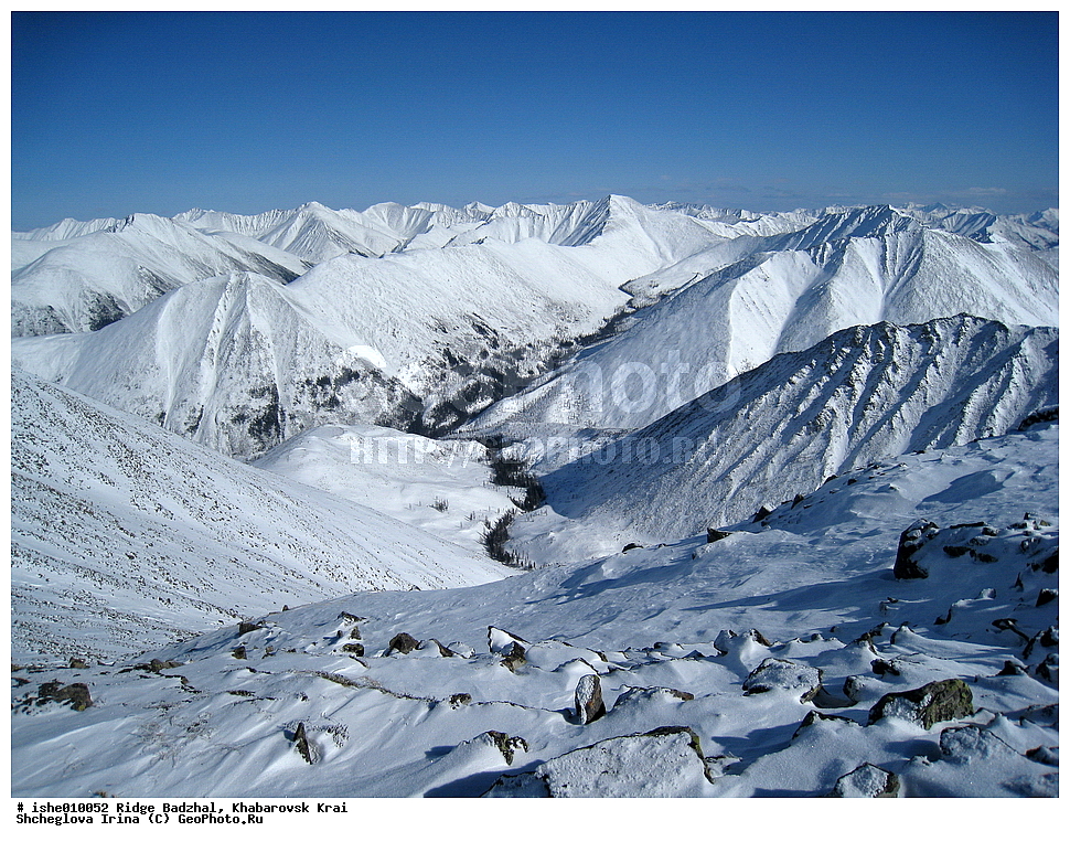 ������, ����������� ����, ����, ������, ����, ������, ������, �������, ������ ������� ����, ����������� ������ ���, ����, �������� ����, ������� ������� ����, ����, �����.