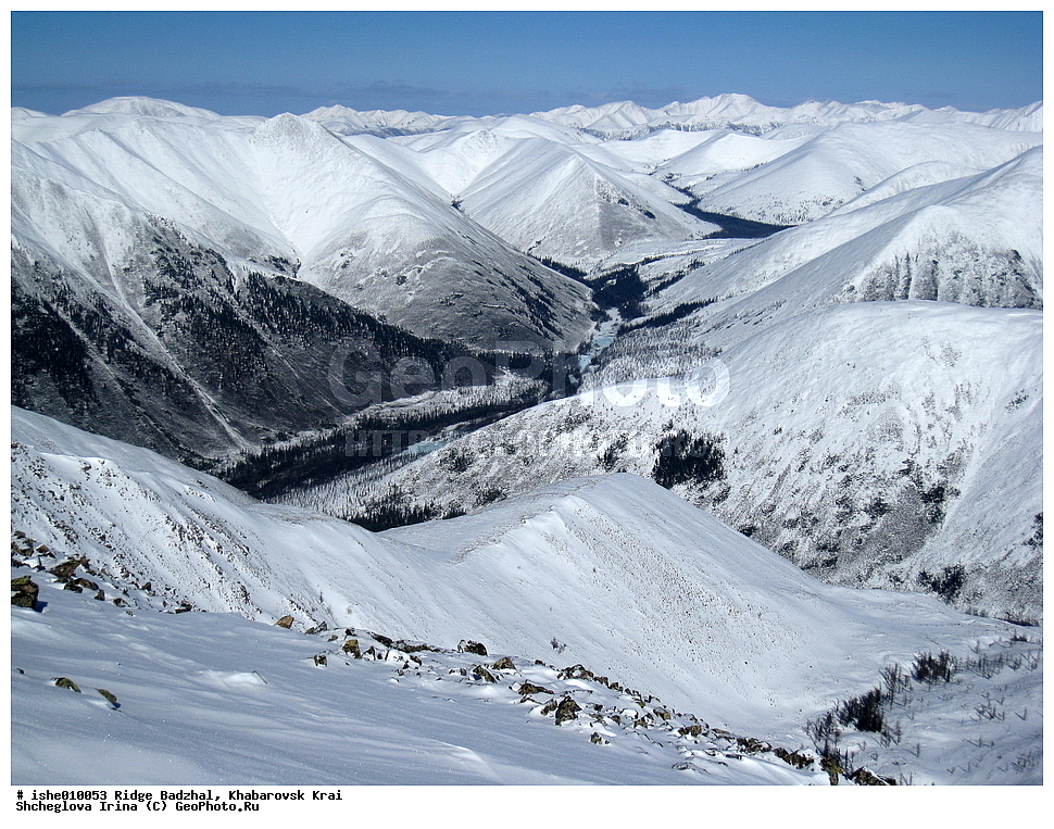 ������, ����������� ����, ����, ������, ����, ������, ������, �������, ������ ������� ����, ����������� ������ ���, ����, �������� ����, ������� ������� ����, ����, �����.