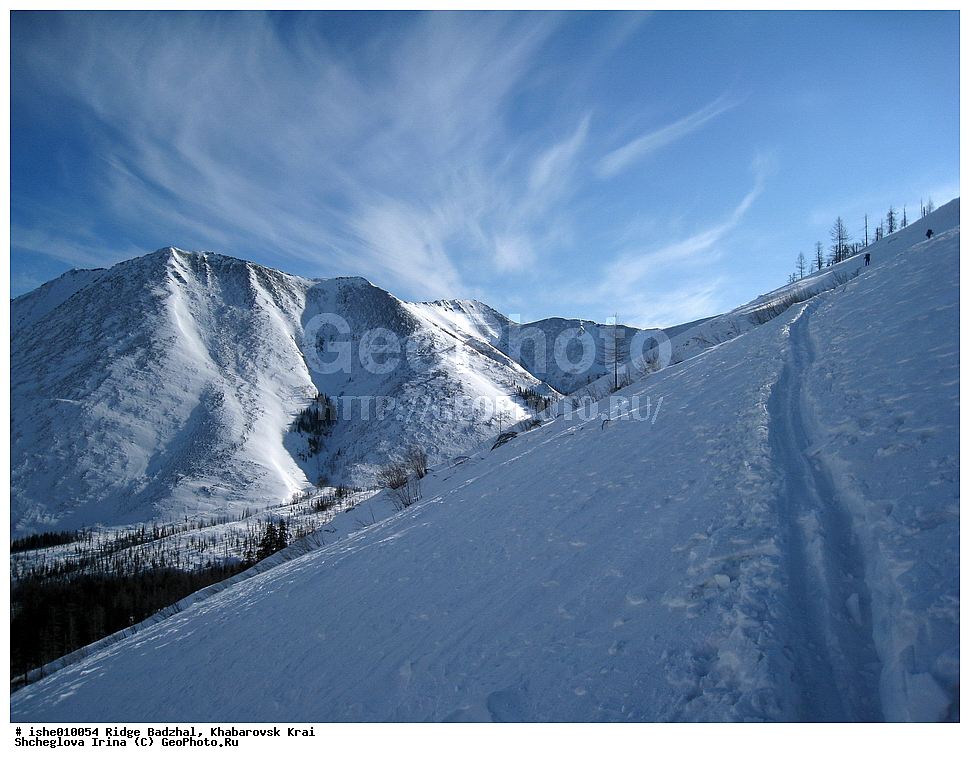  ������, ����������� ����, ����, ������, ����, ������
�������� 