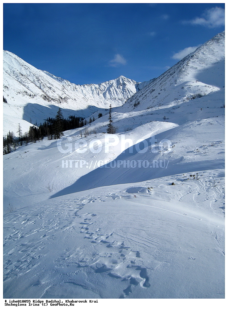 ������, ����������� ����, ����, ������, ����, ������, ������, �������, ������ ������� ����, ����������� ������ ���, ����, ��������, �����, ��������, ������� �������, ����.