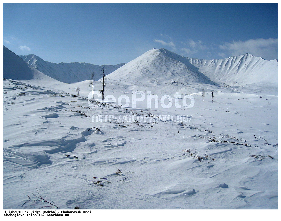 ������, ����������� ����, ����, ������, ����, ������, ������, �������, ������ ������� ����, ����������� ������ ���, ����, �������� ����, ������� ������� ����, ��������.