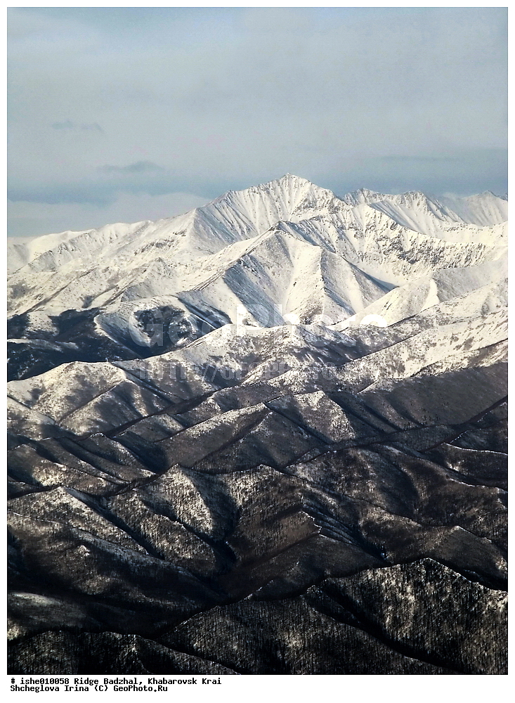 ������, ����������� ����, ����, ������, ����, ������, ������, �������, ������ ������� ����, ����������� ������ ���, ����, ��������.