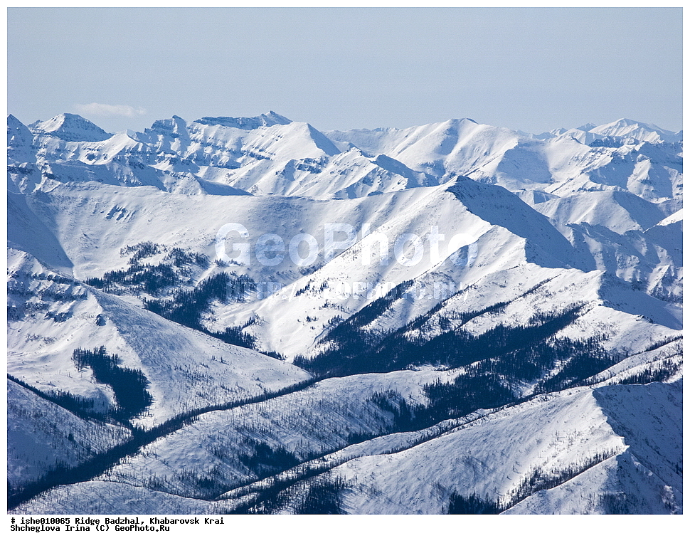 ������, ����������� ����, ����, ������, ����, ������, ������, �������, ������ ������� ����, ����������� ������ ���, ����, ��������, ����, ��������, ������� �������, ������ ������������.