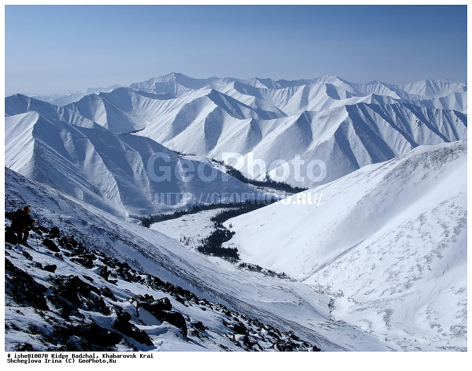 ������, ����������� ����, ����, ������, ����, ������, ������, �������, ������ ������� ����, ����������� ������ ���, ����, ��������, �����, ��������, ������� �������, ��������, �����. 