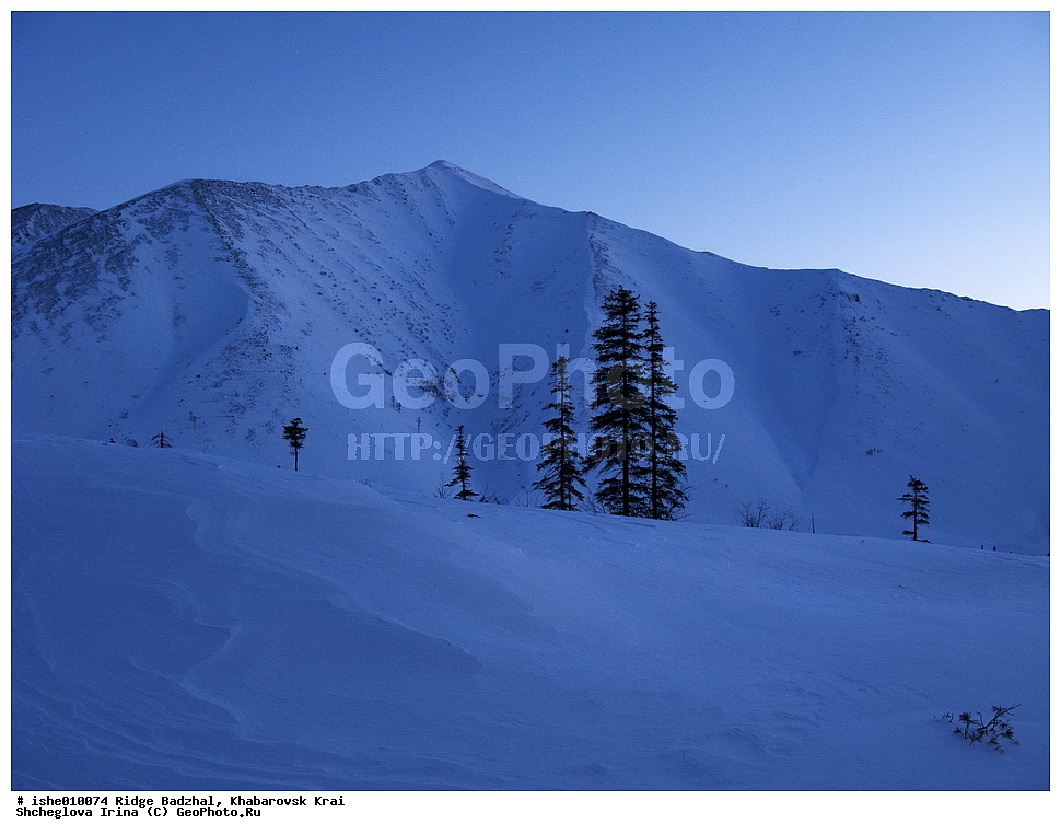 ������, ����������� ����, ����, ������, ����, ������, ������, �������, ������ ������� ����, ����������� ������ ���, ����, ��������, �����, ��������, ������� �������, �����, �����, �����.