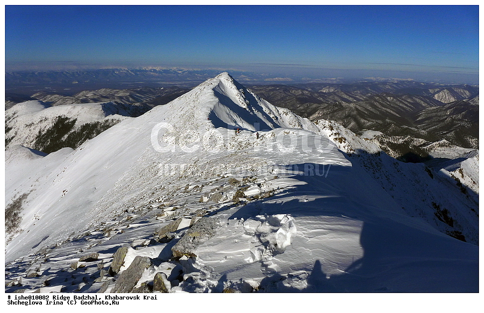 ������, ����������� ����, ����, ������, ����, ������, ������, �������, ������� ����, ����������� ������ ���, ��� �������, ������, �������, ������ ������, ������ ������, �����������. 