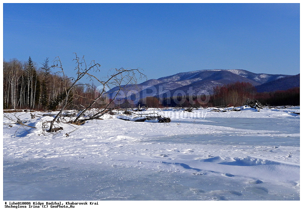 ������, ����������� ����, ����, ������, ����, ������, ������, ���, ������ ���, ������, ����.