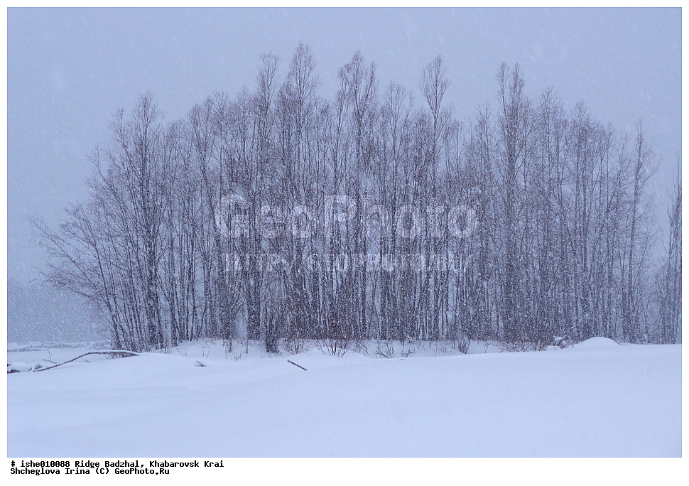  ������, ����������� ����, ����, ������, ����, ������
�������� 