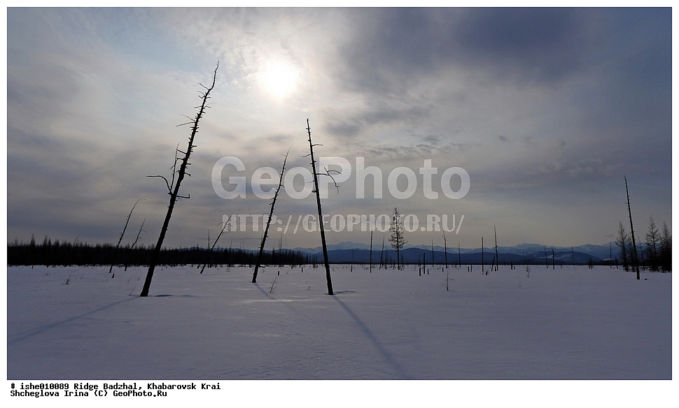  ������, ����������� ����, ����, ������, ����, ������
�������� 