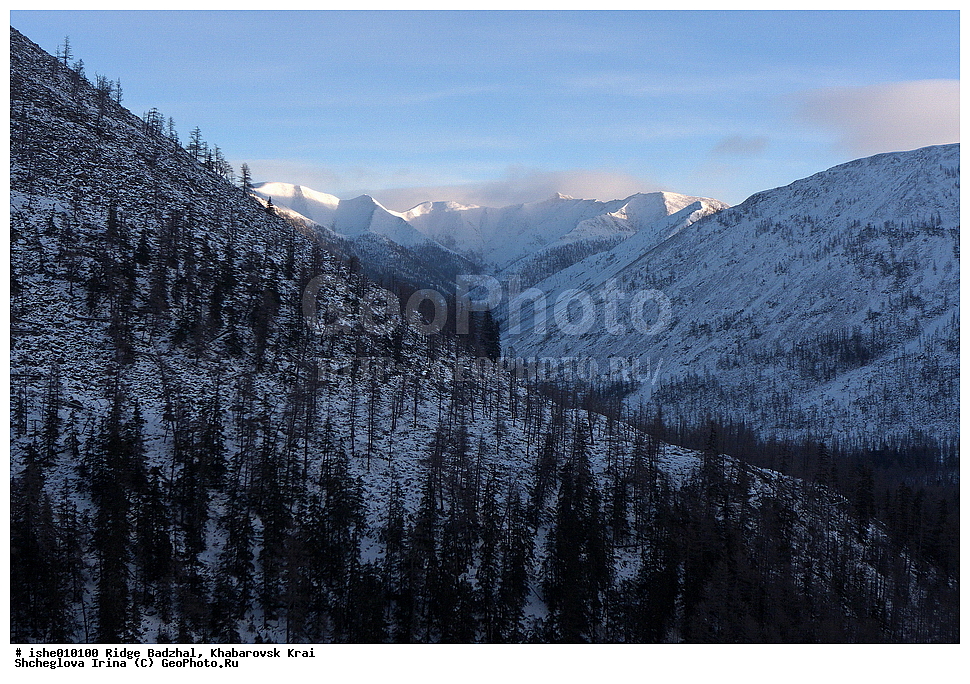 ������, ����������� ����, ����, ������, ����, ������, ������, �������, ������� ����, ����������� ������ ���, �������� �����, ��������, ����� �������, ��������.