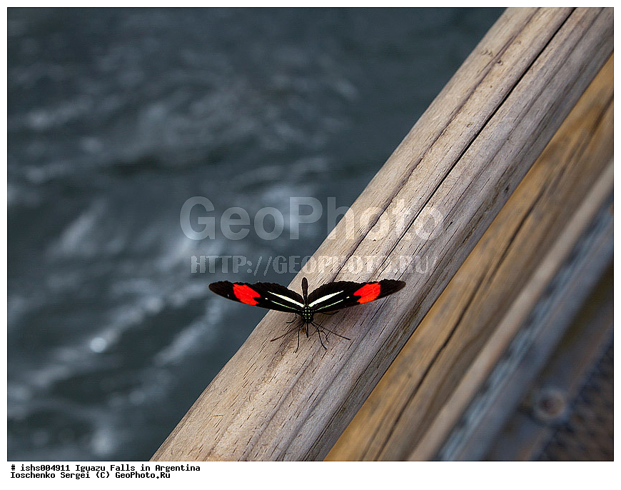 ��������, ����, ������, ���������, ����������� �������, �������