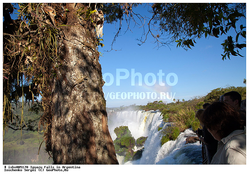 ��������, ����, ������, ���������