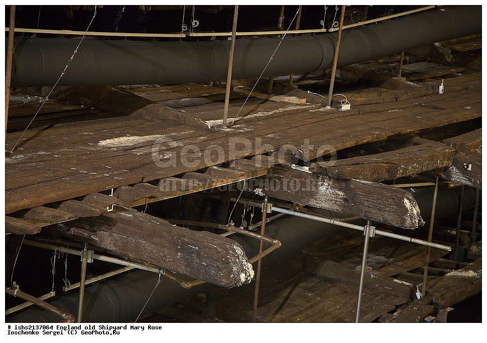 ������, ������ �����, �����, ���� ����