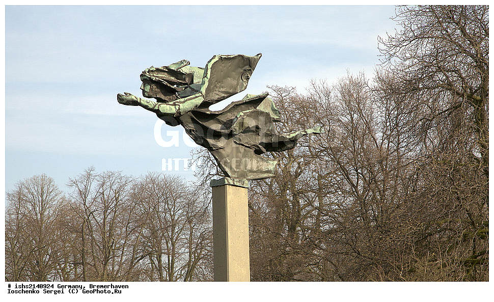 ����, �����, ����, ��������, �����������