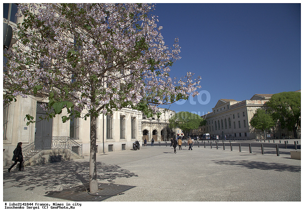 �������, ���, ����, ��� ��������, � ������