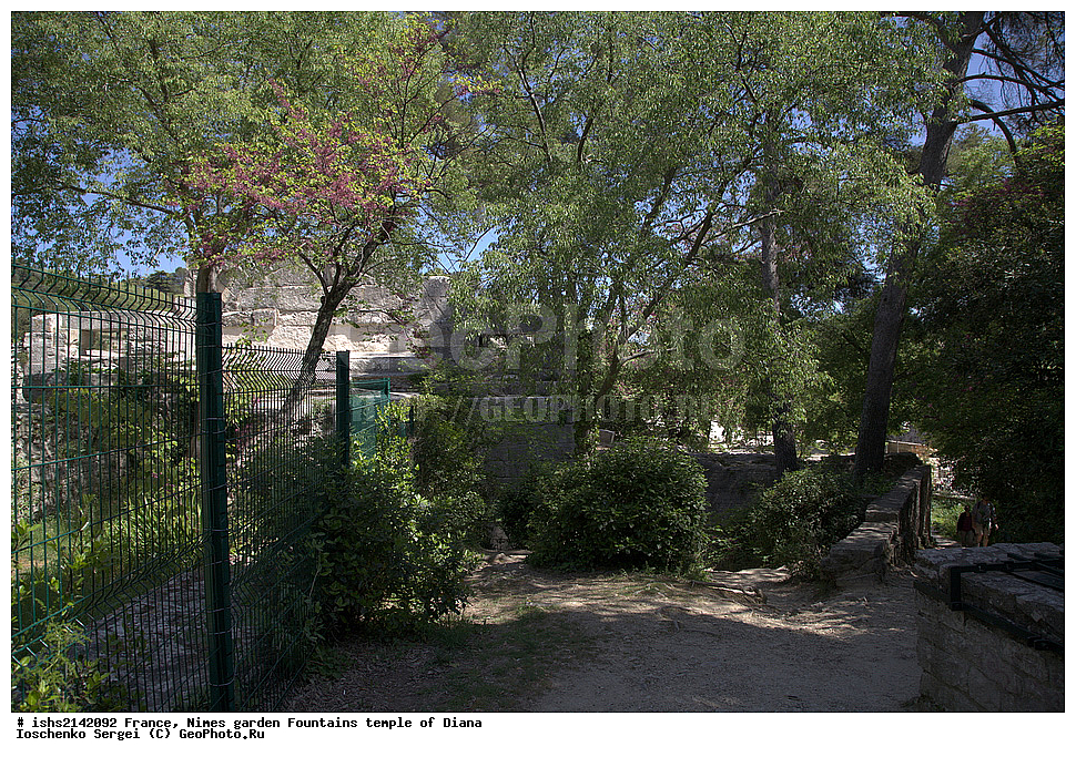 �������, ���, ����, ��� ��������, ���� �����