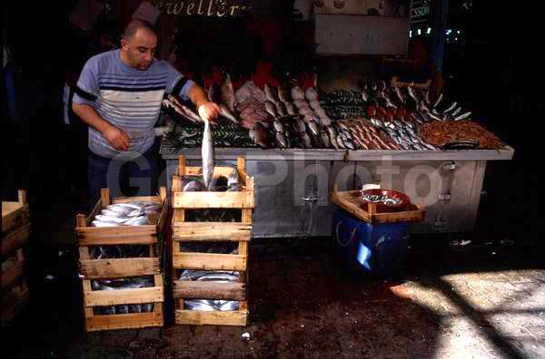 �������, ������, ������� ��������, �������, ����, �����, ��������