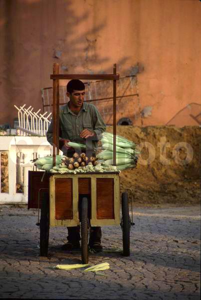 �������, ������, ��������, ����, �������, �������, ��������, �������� �� �����