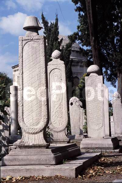 �������, ������, ���������, �������, ��������, ������ ��������, �����