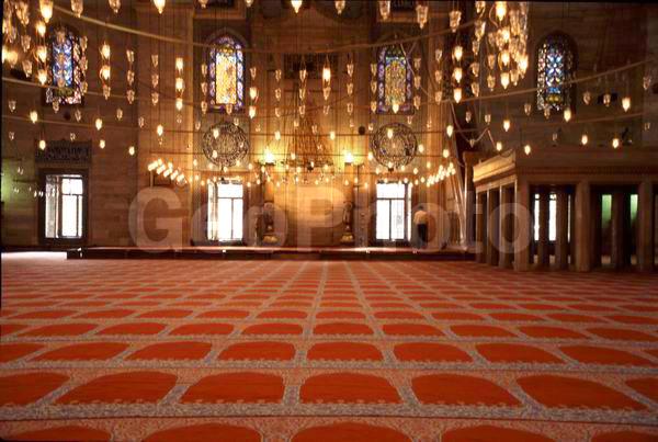 �����, �������, ������, �����������, ��������, ������, �������, �������