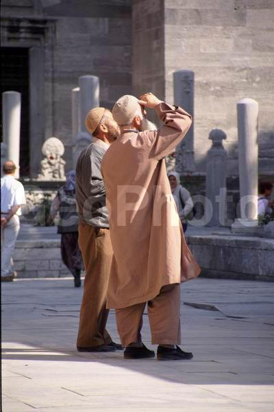 �����, �������, ������, ������, ����������, ������������ ������, �������, �������, ������