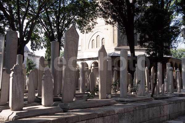 �����, �������, ������, ��������, �������