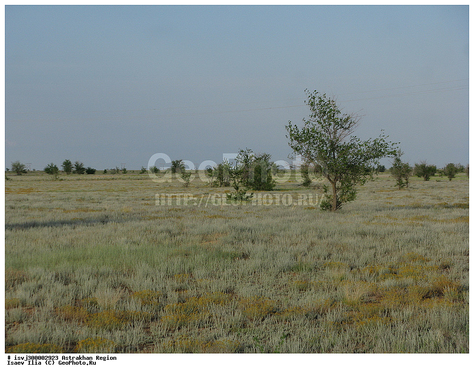 ������������ �������, ������� - �����