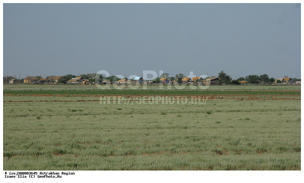 ������������ �������, ������ ���������-���������. �������� - ��������