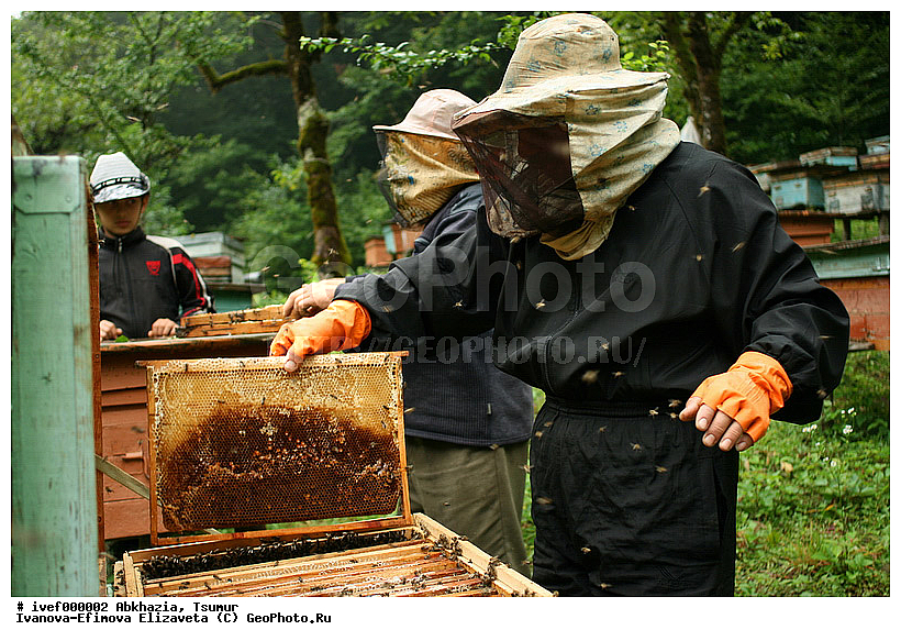 �������, �����, ������ ������, ������ ���, ���, ������, ��������, ����, �����, ����