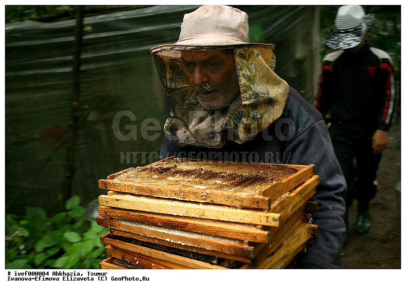 �������, �����, ������ ������, ������ ���, ���, ������, ��������, ����, ������