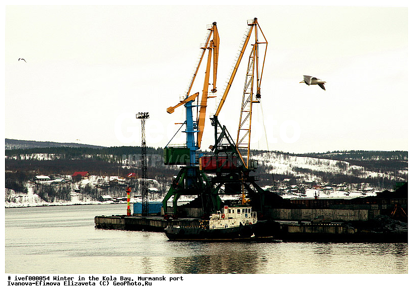 ����, �������� �����, ��������, ���������� ����, ����, �������, �����, �����, ����, ����, �����, ���������, �����