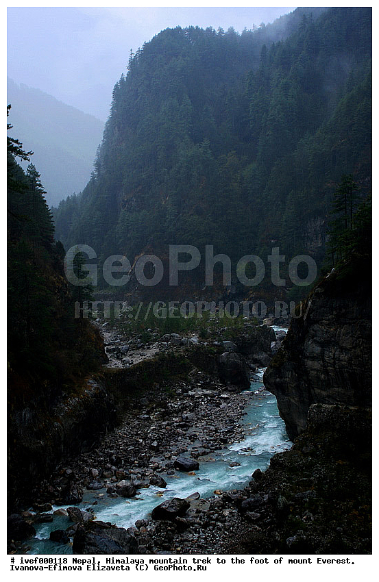 ����, �������, �����������, ������, �����, ����������, �������-����, ����, ����, ��������, ����, ������ ����, ���, �����, ����, �����