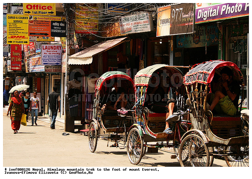 ����, �������, �����������, ������, �����, ����������, �������-����, ����, ����, ��������, ���������, ��������, ������, ����, ������, �������, ������