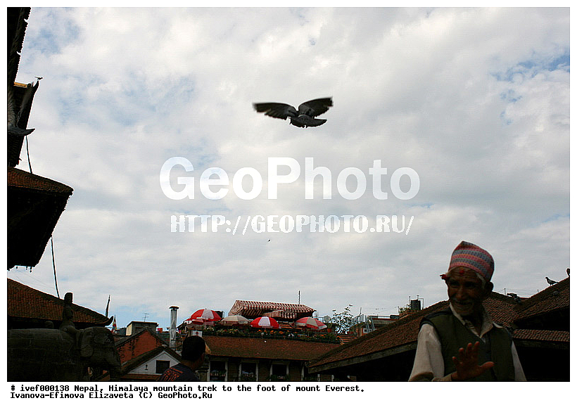 ����, �������, �����������, ������, �����, ����������, �������-����, ����, ����, ��������, �����, ������, ������, ����, ����