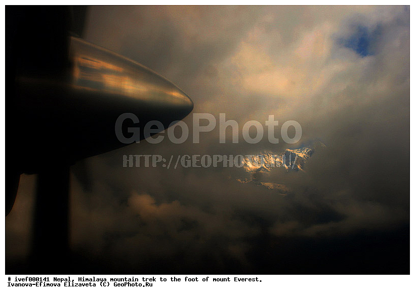 ����, �������, �����������, ������, �����, ����������, �������-����, ����, ����, ��������, �������, ���������, ����, �������, ������, ���� � �����