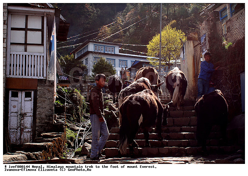 ����, �������, �����������, ������, �����, ����������, �������-����, ����, ����, ��������, �������� �����, �������, ������, �����, �������, ����, ������, ������ �������