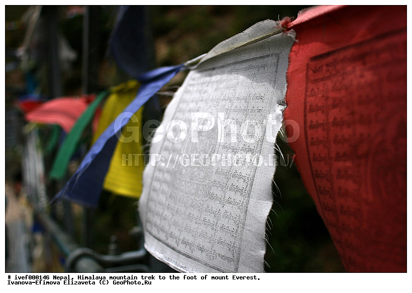 ����, �������, �����������, ������, �����, ����������, �������-����, ����, ����, ��������, ������, �������, ����