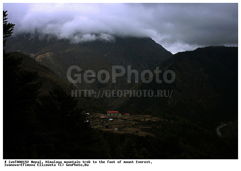 ����, �������, �����������, ������, �����, ����������, �������-����, ����, ����, ��������, ��� �� ��������, ���, ������