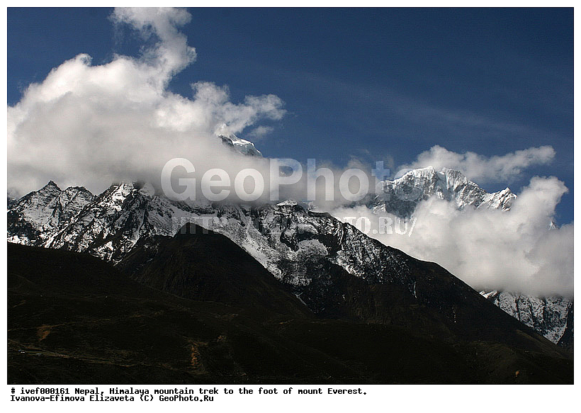 ����, �������, �����������, ������, �����, ����������, �������-����, ����, ����, ��������, ������ � �����, ��������, �����