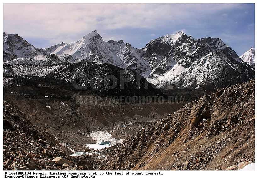 ����, �������, �����������, ������, �����, ����������, �������-����, ����, ����, ��������, �����, ������, ������ ������, ������